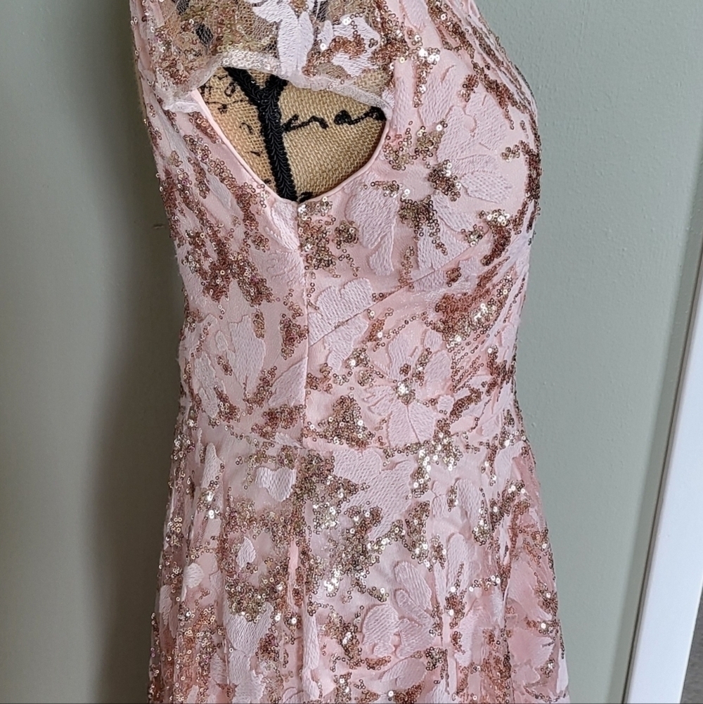 Eliza J Blush Embroidered Sequined High Low Evening Gown - Picture 4 of 6